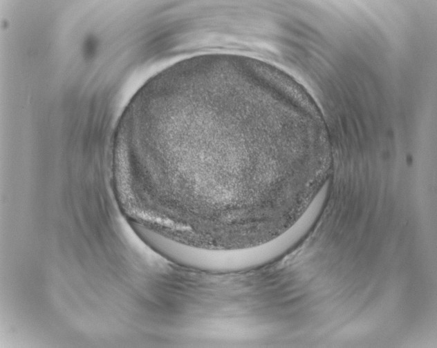 X0000088591531200706151724