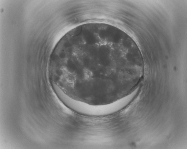 X0000088591533200706151724