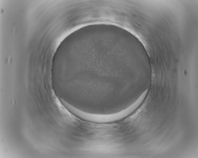 X0000088591534200706151724