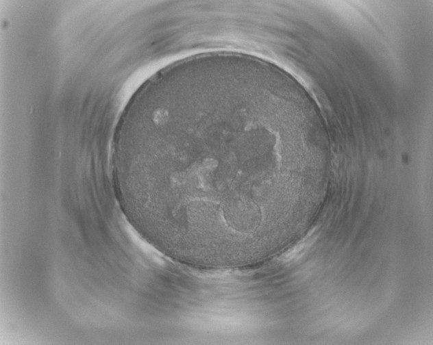 X0000088591535200706151724