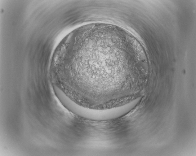 X0000088591536200706151724