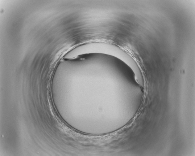 X0000088590001200706221352