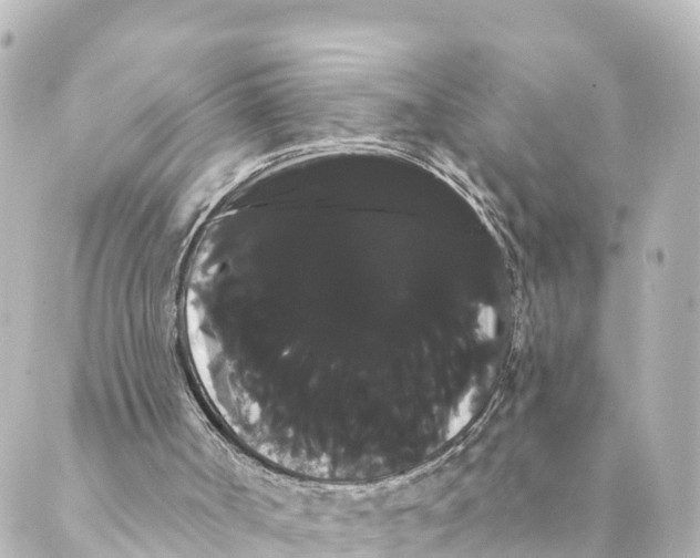 X0000088590002200706221352