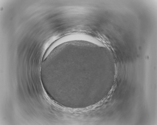 X0000088590003200706221352