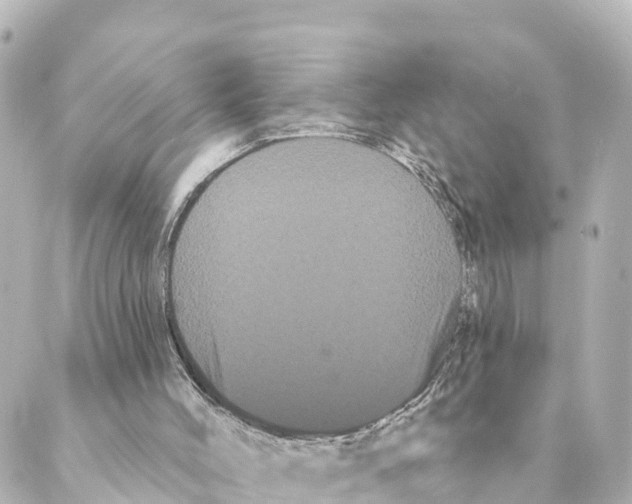 X0000088590004200706221352