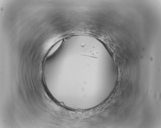 X0000088590005200706221352