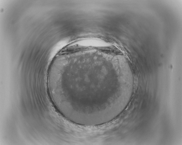 X0000088590006200706221352