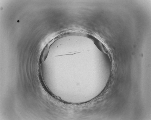 X0000088590007200706221352