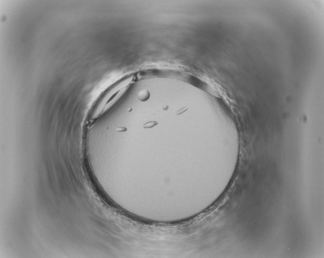 X0000088590008200706221352