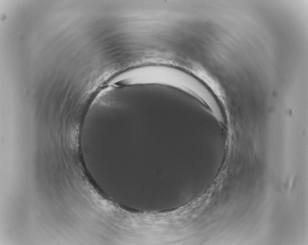 X0000088590009200706221352