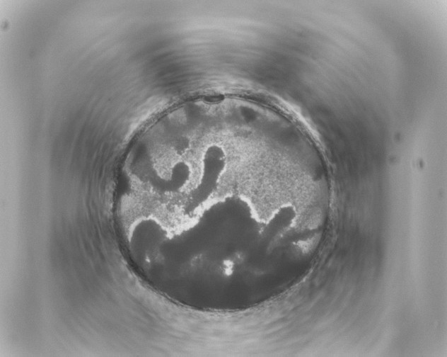 X0000088590010200706221352