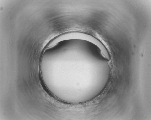 X0000088590011200706221352