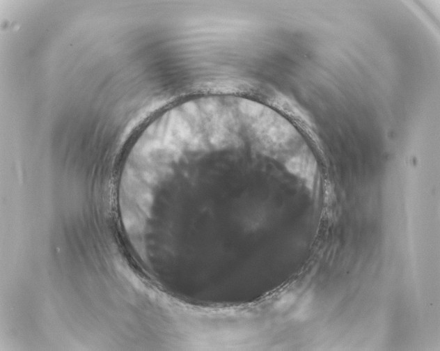 X0000088590012200706221352