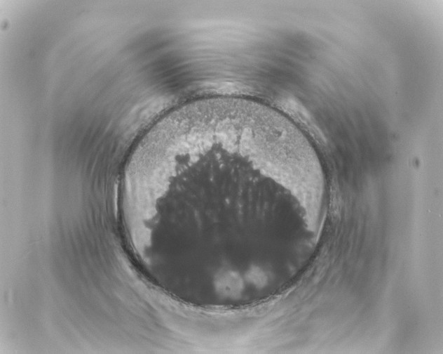 X0000088590014200706221352