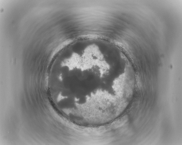 X0000088590016200706221352