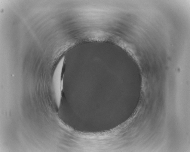 X0000088590017200706221352