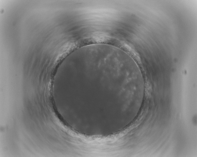 X0000088590018200706221352