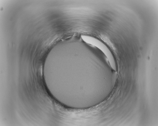 X0000088590021200706221352