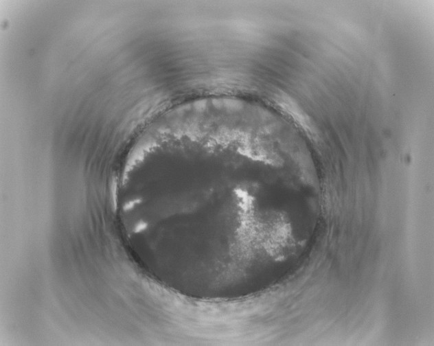 X0000088590022200706221352