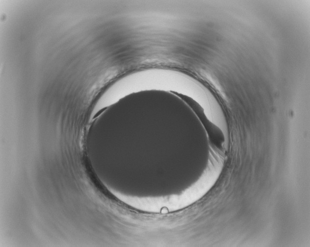 X0000088590023200706221352