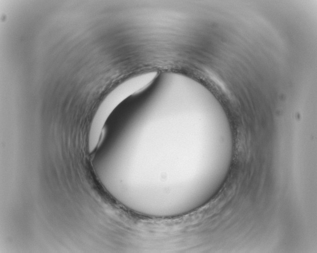 X0000088590025200706221352