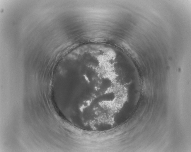 X0000088590026200706221352