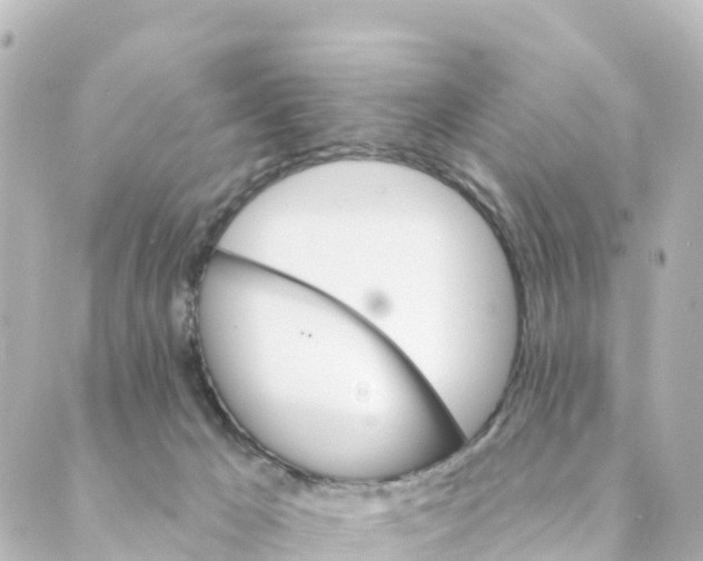 X0000088590029200706221352