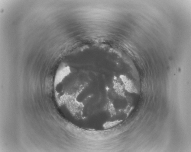 X0000088590030200706221352