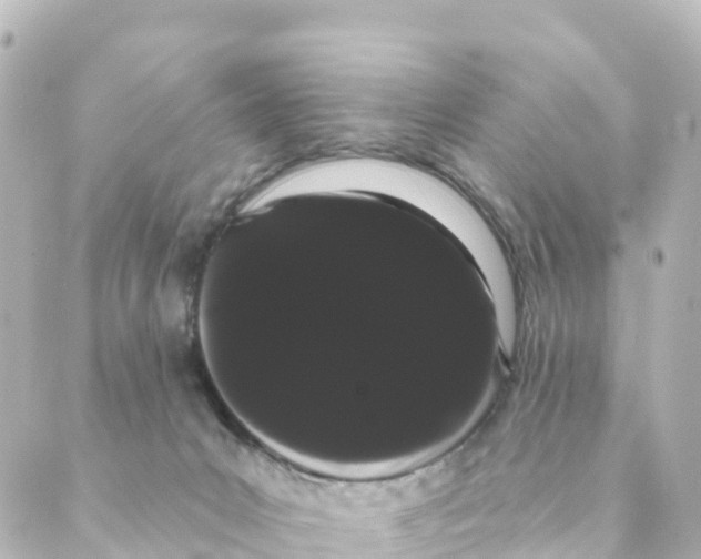 X0000088590031200706221352