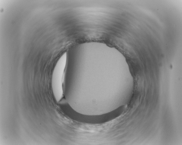 X0000088590033200706221352