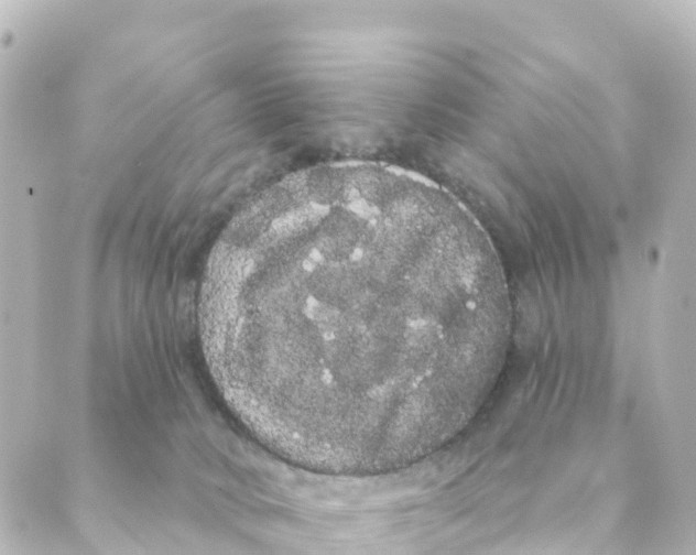 X0000088590034200706221352