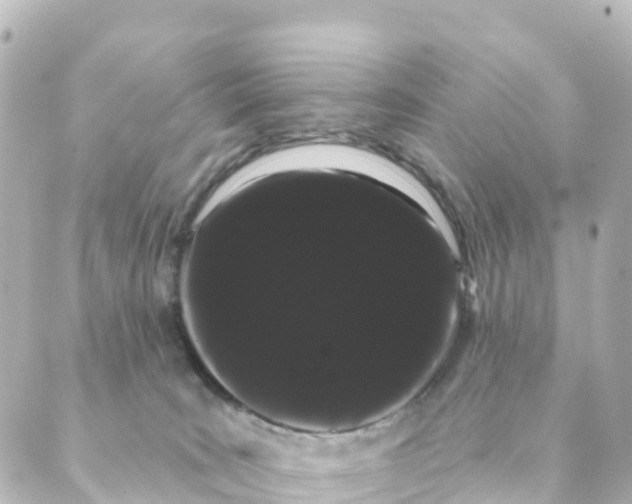 X0000088590035200706221352