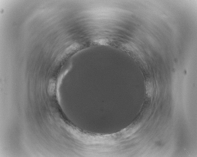 X0000088590036200706221352