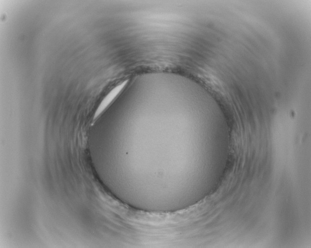 X0000088590037200706221352