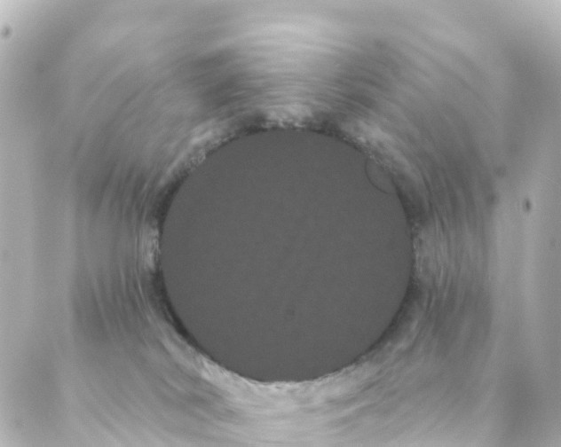 X0000088590038200706221352