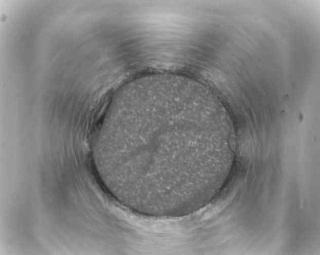 X0000088590040200706221352