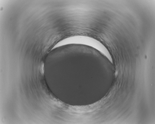 X0000088590041200706221352