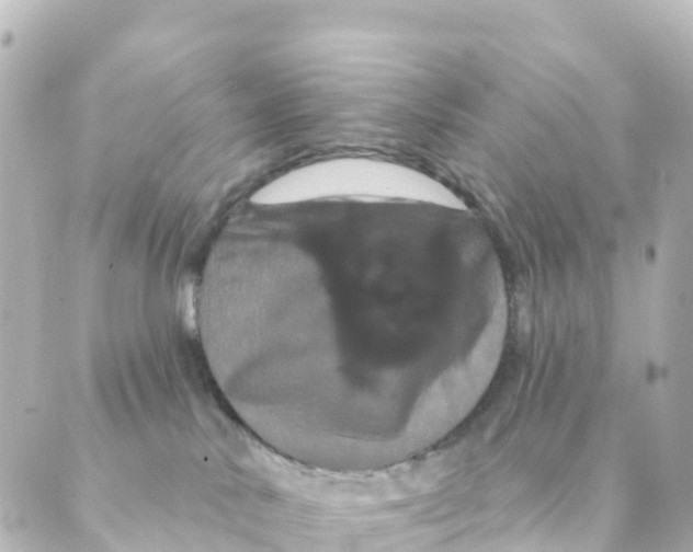 X0000088590042200706221352