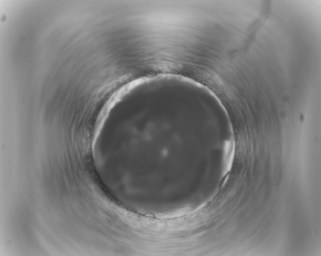 X0000088590043200706221352