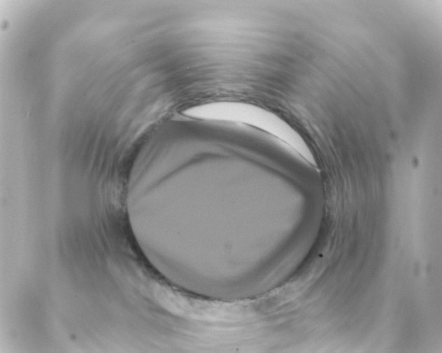 X0000088590044200706221352