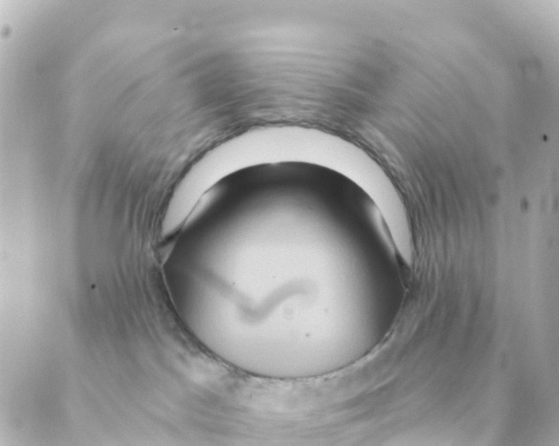 X0000088590045200706221352