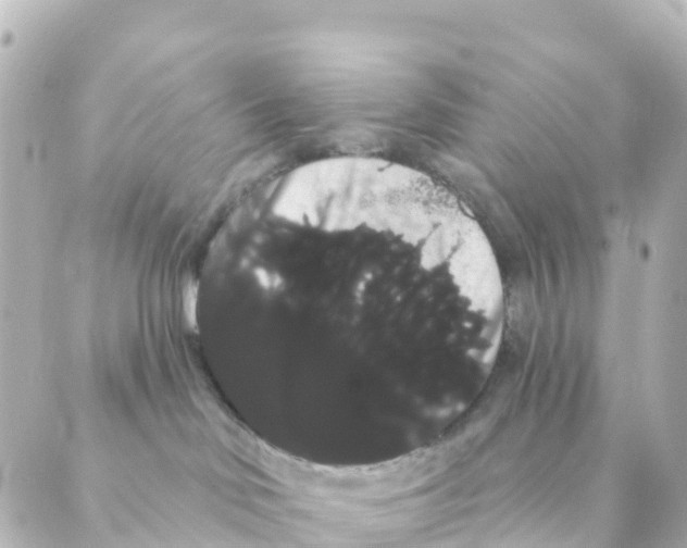 X0000088590046200706221352