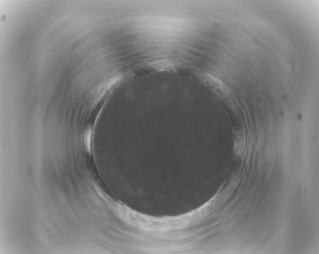 X0000088590047200706221352