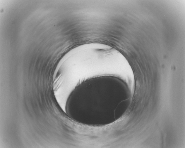 X0000088590048200706221352