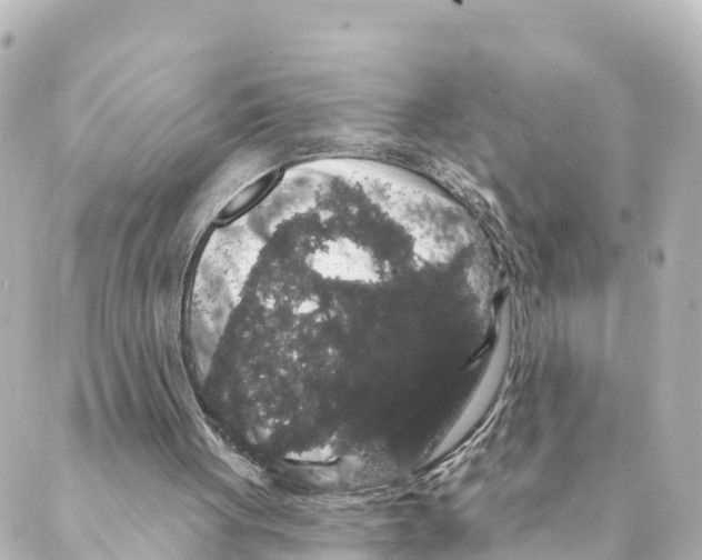 X0000088590051200706221351