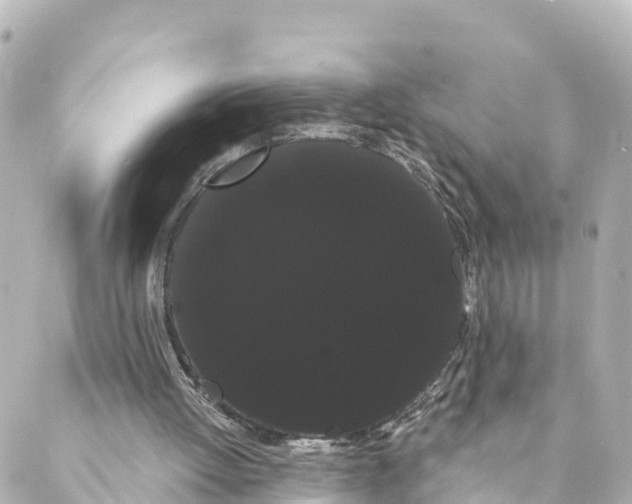 X0000088590052200706221351