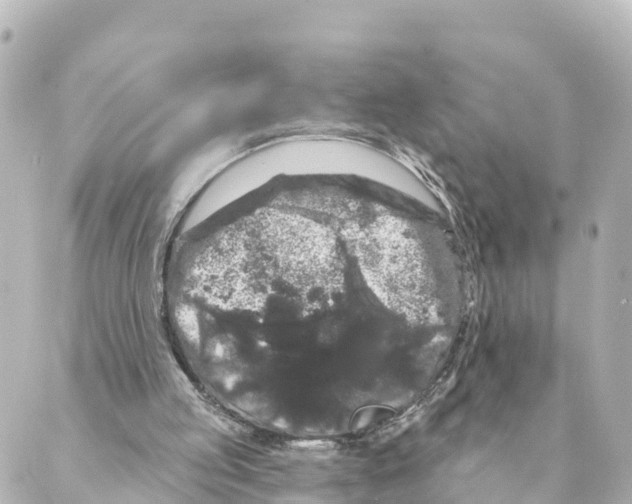 X0000088590053200706221351