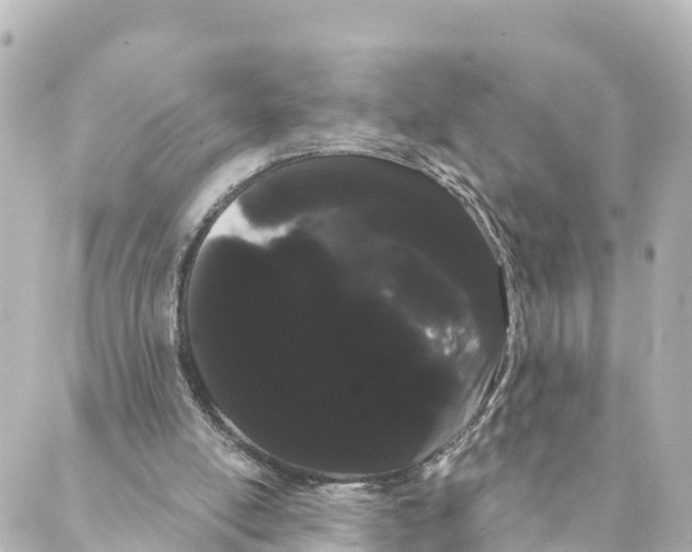 X0000088590054200706221351