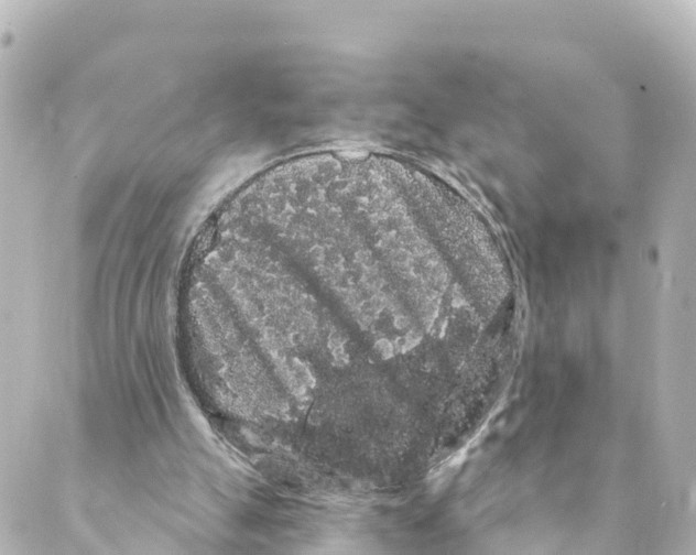 X0000088590055200706221351