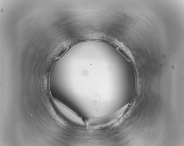 X0000088590057200706221351